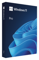 Microsoft Windows 11 Pro 64Bit Eng Intl 1pk DSP OEI DVD