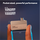 Lexar 1TB Professional Go Gen 2 USB3.2 Portable SSD (LSL400X001T-RNBNG) Black