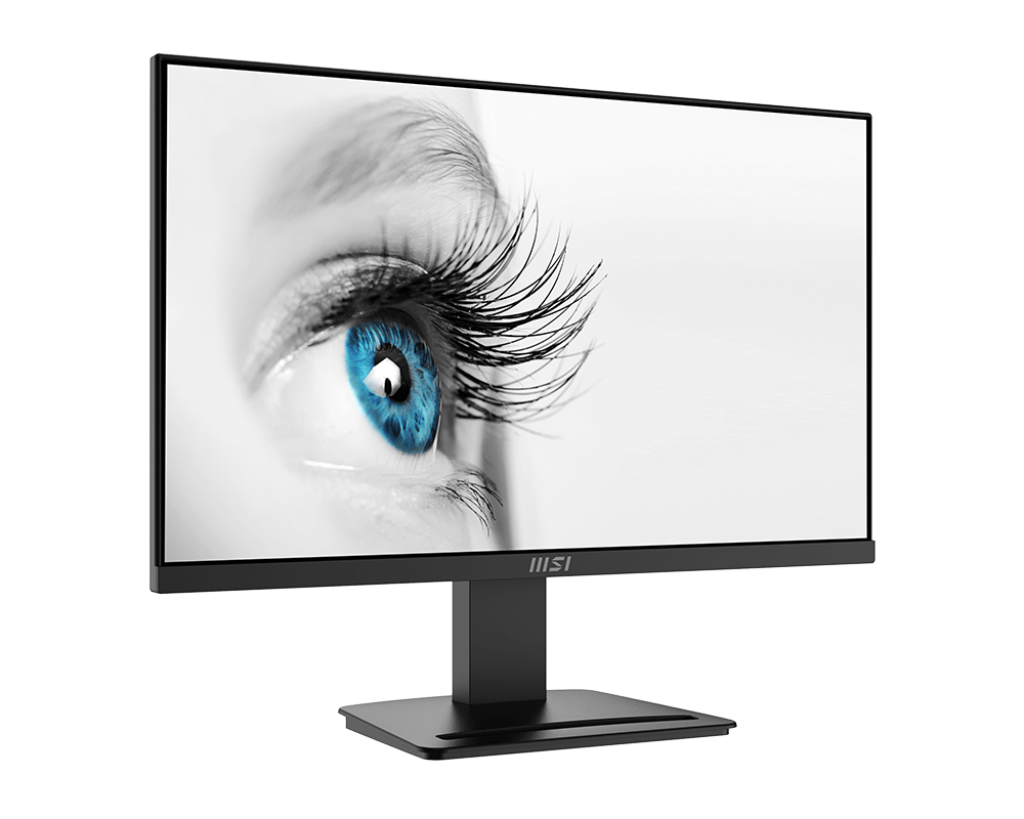 MSI Pro MP2412 23.8inch FHD VA 100Hz 1ms (MPRT) Monitor MSI Pro MP2412 23.8inch FHD VA 100Hz 1ms (MPRT) Monitor