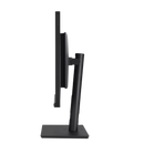 Asus ProArt PA329CV  32inch 4K UHD IPS Professional Monitor