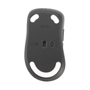 Asus MD102 Wireless Mouse (Dark Gray)